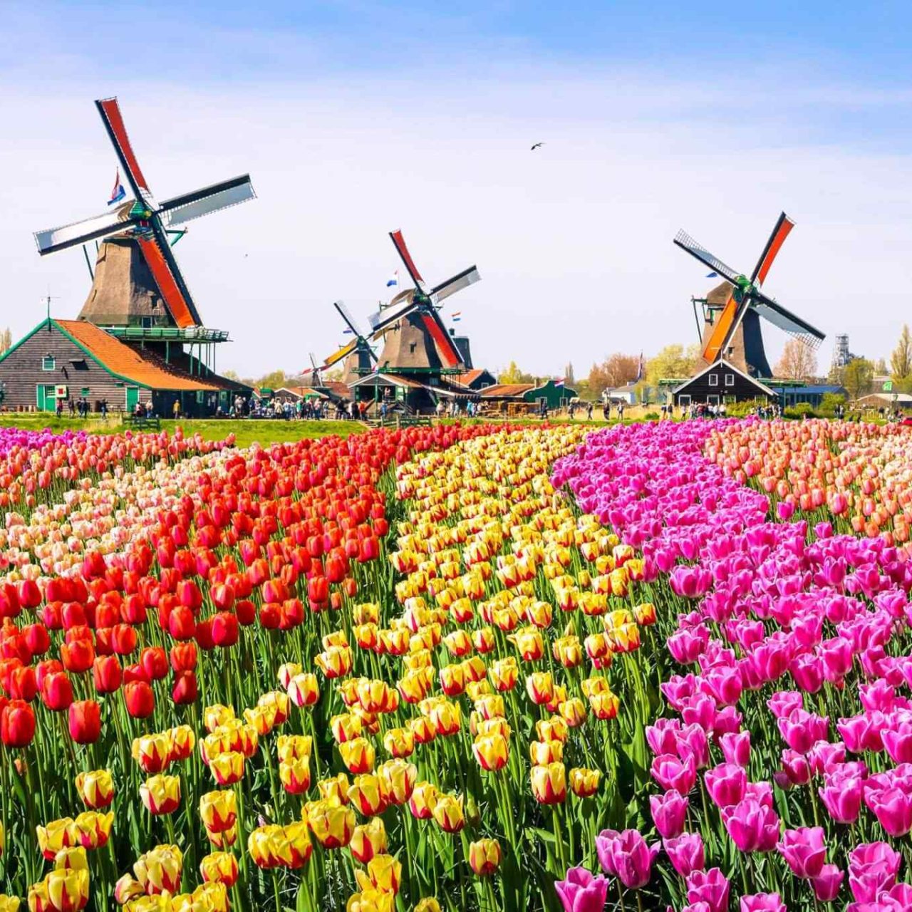 https://gabydieltravel.com/wp-content/uploads/2018/09/destination-netherlands-01-1280x1280.jpg
